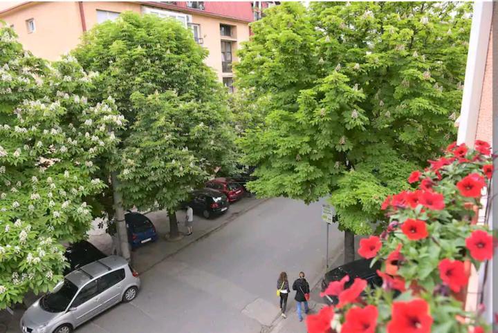 סקופיה Milica Apartments מראה חיצוני תמונה